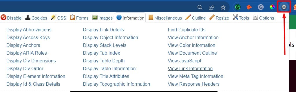 Available tools in Web Developer chrome extension