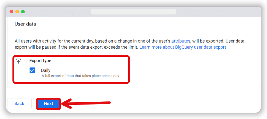 Export type in user data section