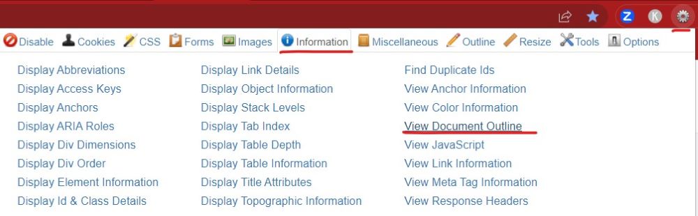 Screen after clicking web developer cog