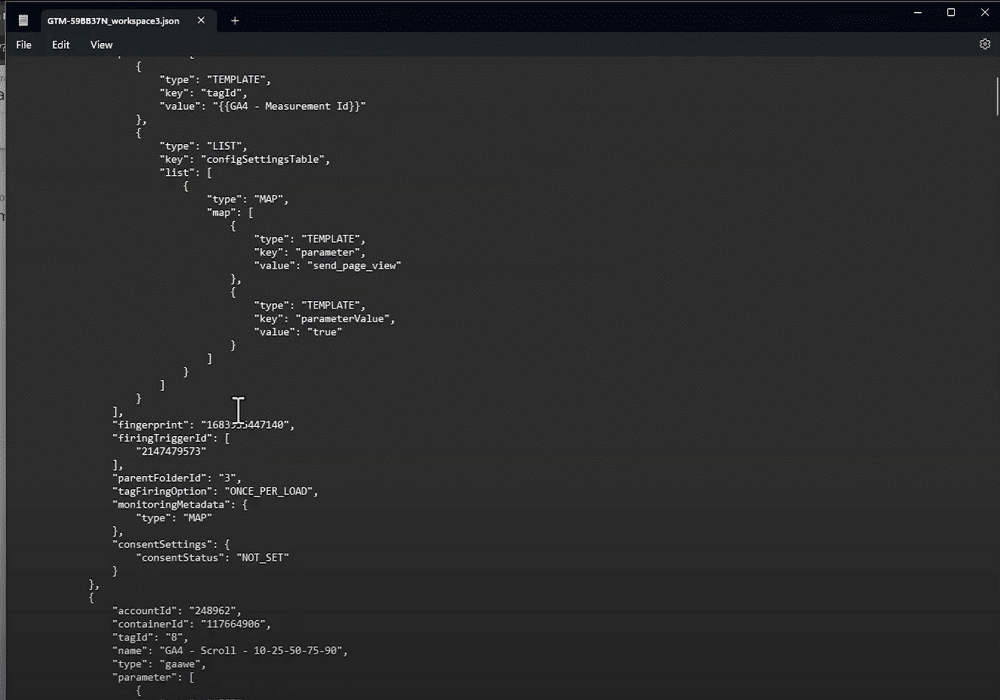 JSON file that people get when they export their GTM container