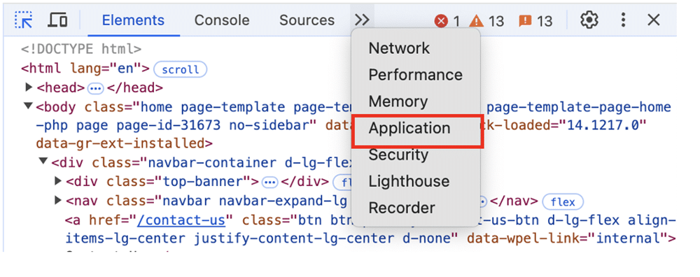 Application option of the developer tools highlighted
