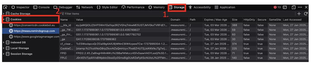 Cookies section of the storage option of the developer tools highlighted
